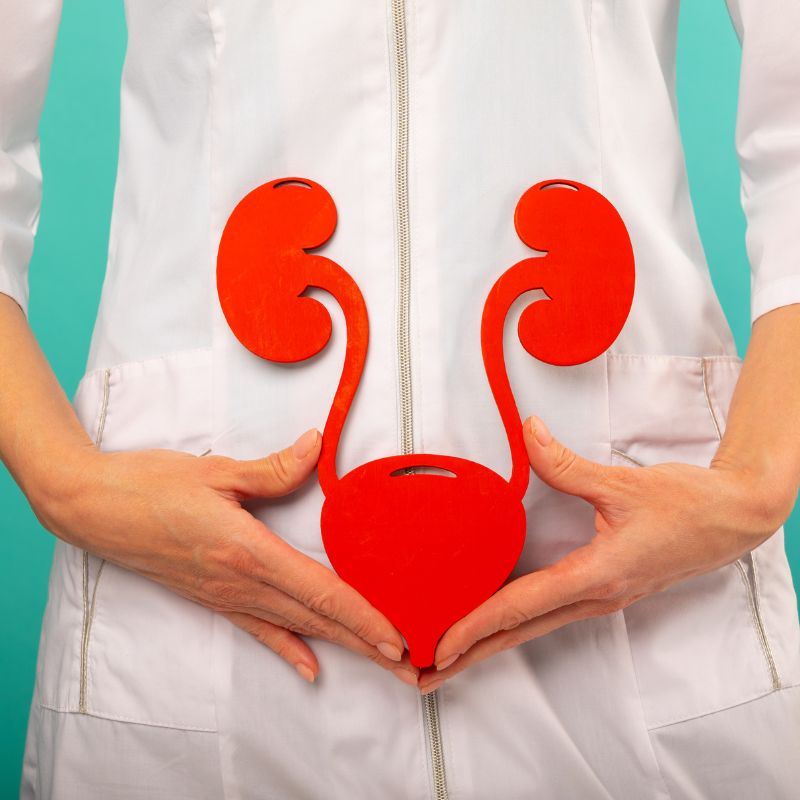 urologo en tuxtepec calculos vesiculares o biliares